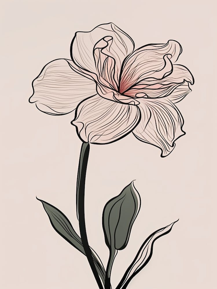 Daffodils Line Art Flowers Illustration Neutral 20