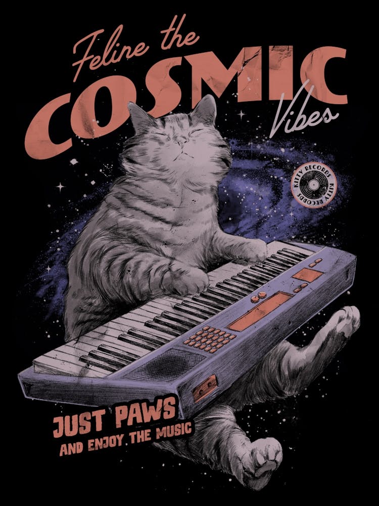 Cosmic Vibes Funny Cat Music 1