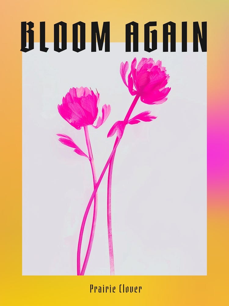 Hot Pink Prairie Clover Poster