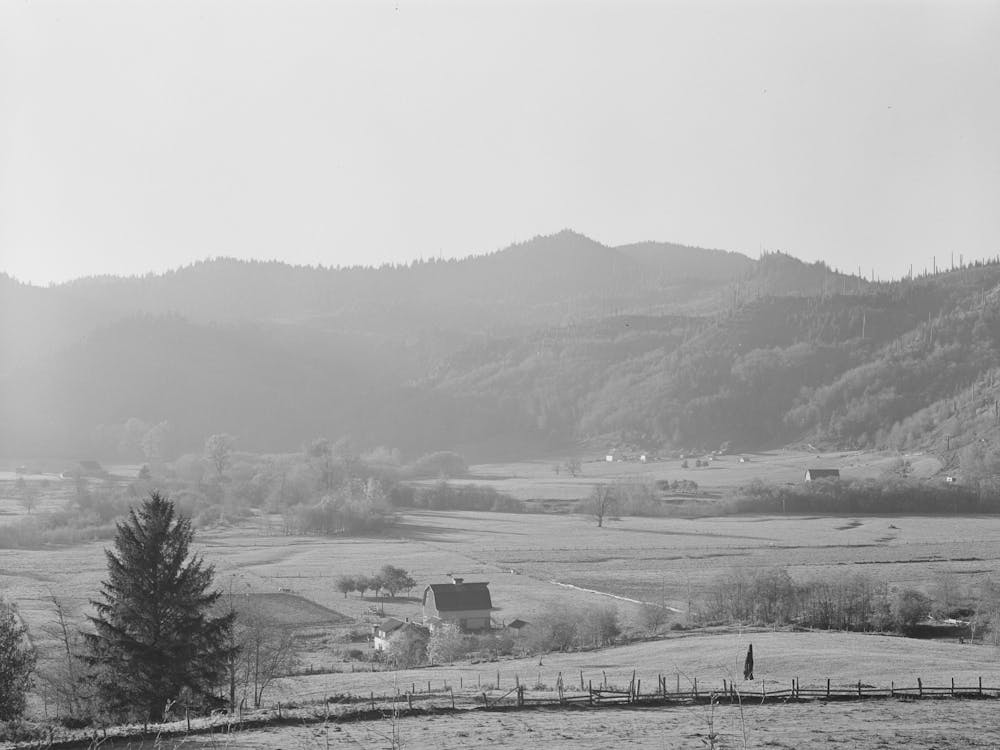View Of Prosperous Dairying Section, Tillamook County, Oregon By Russell Lee