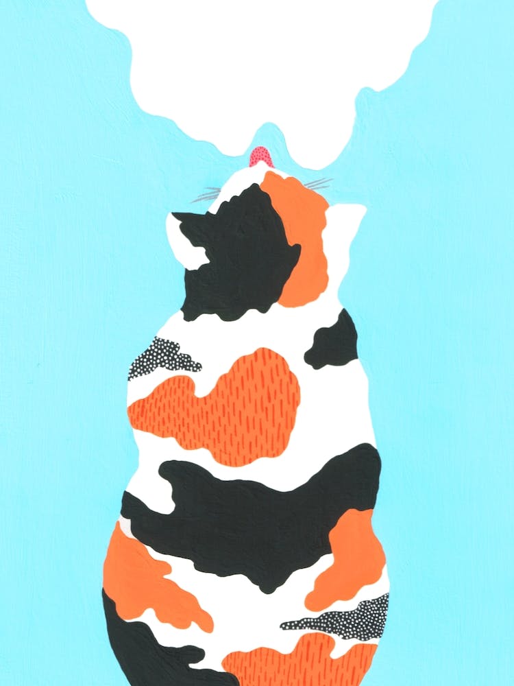 Portrait Of Cat And Milk