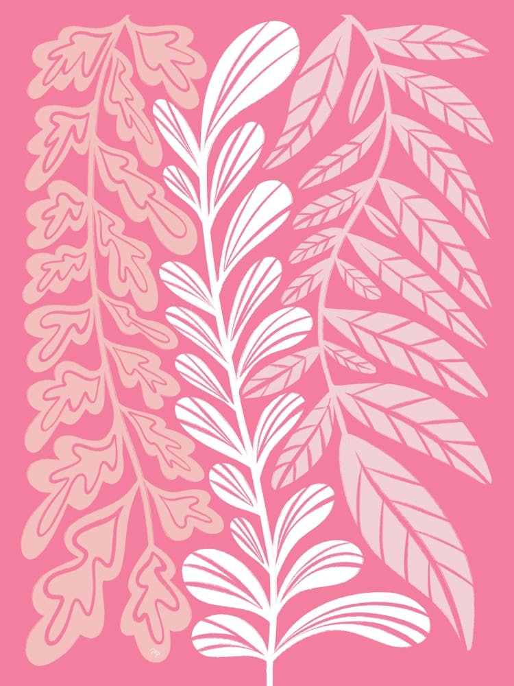Long Pink Plants