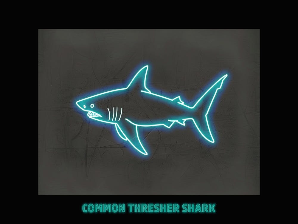 Neon Blue Common Thresher Shark 3 Poster