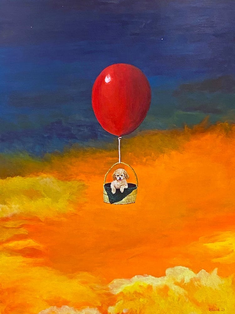 Pup, Up And Away Dog In A Hot Air Balloon