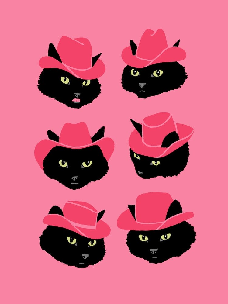 Marcy The Cowgirl Cat