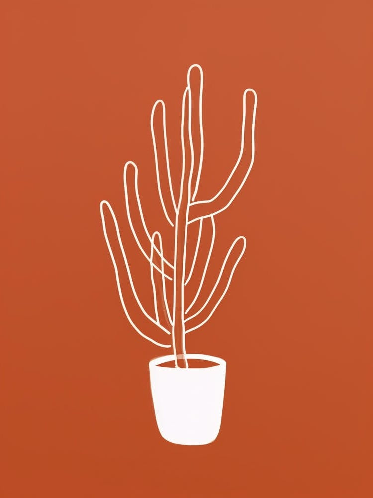 Cactus Line Drawing Cylindropuntia Kleiniae