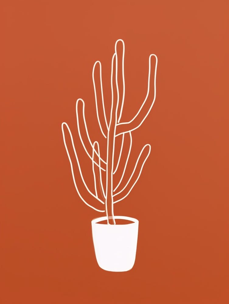 Cactus Line Drawing Cylindropuntia Kleiniae