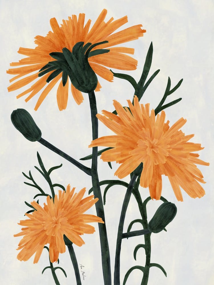 Three Orange Flowers