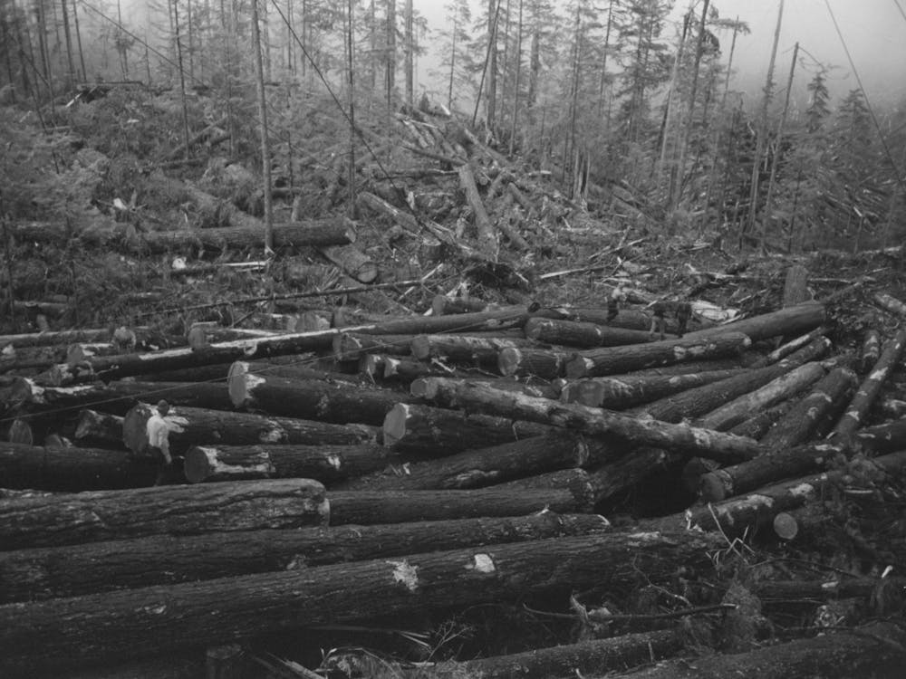 Untitled Photo, Possibly Related To Logs, Long Bell Lumber Company, Cowlitz County, Washington, In The Yar