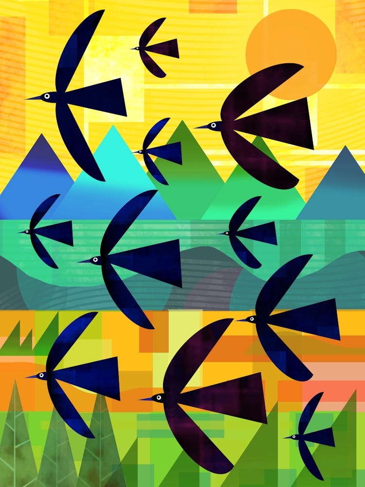 As The Crow Flies 1