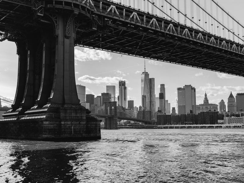 Dumbo Brooklyn VI