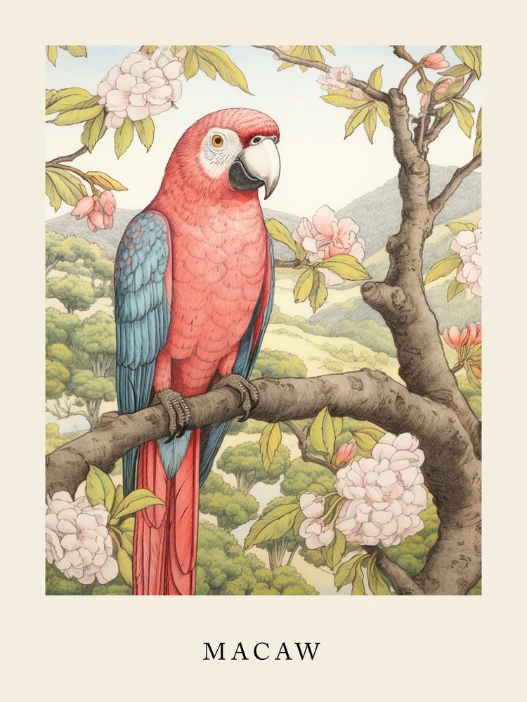 Beatrix Potter Inspired  Animal Watercolour Macaw