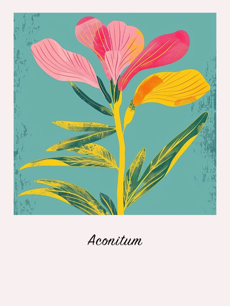 Aconitum 1 Square Flower Illustration Poster