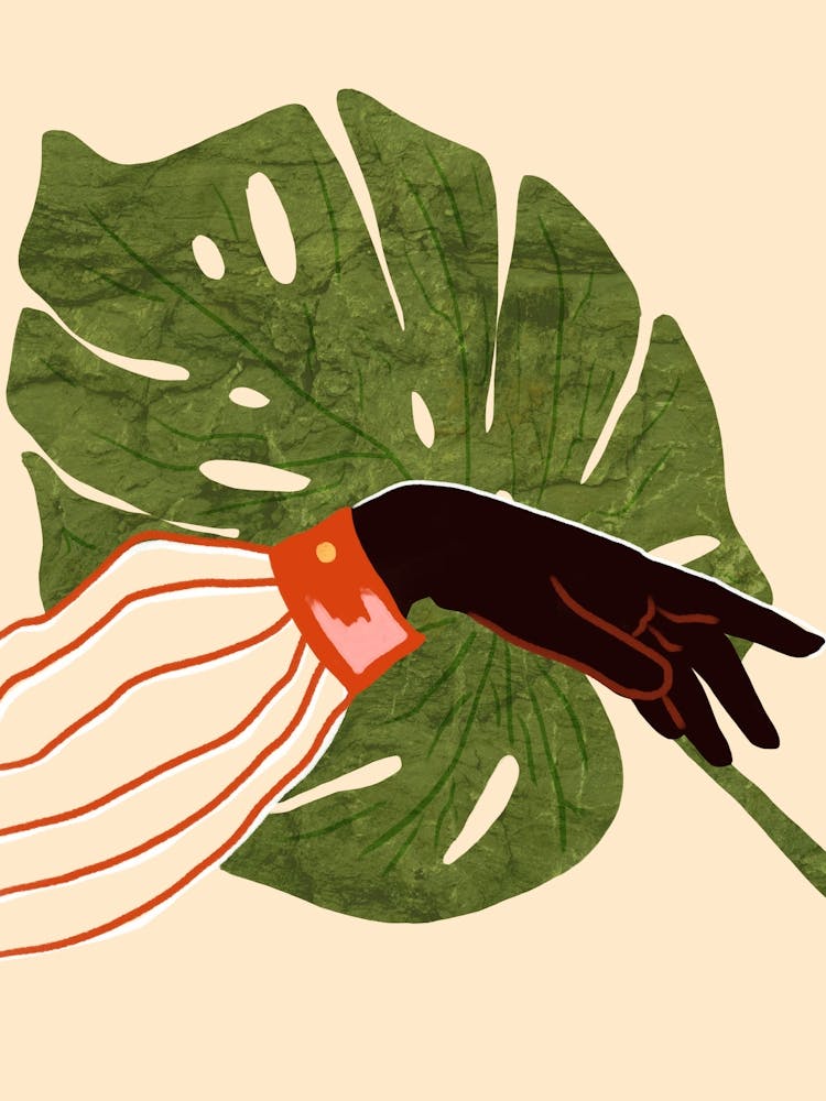 Green Canvas, Red Accent