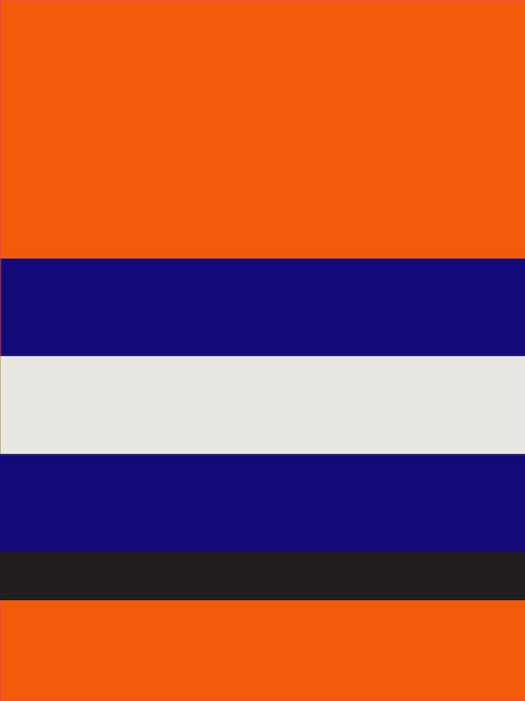 Offical Duties Orange