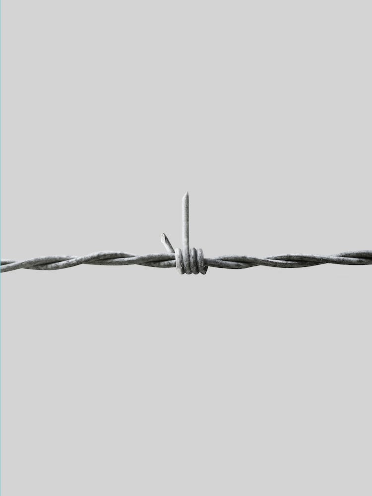Fence