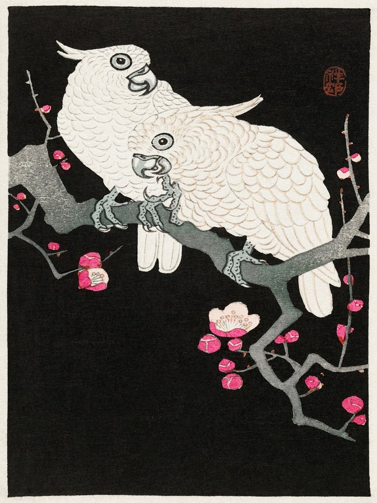 Two Cockatoo And Plum Blossom (1925 1936), Ohara Koson