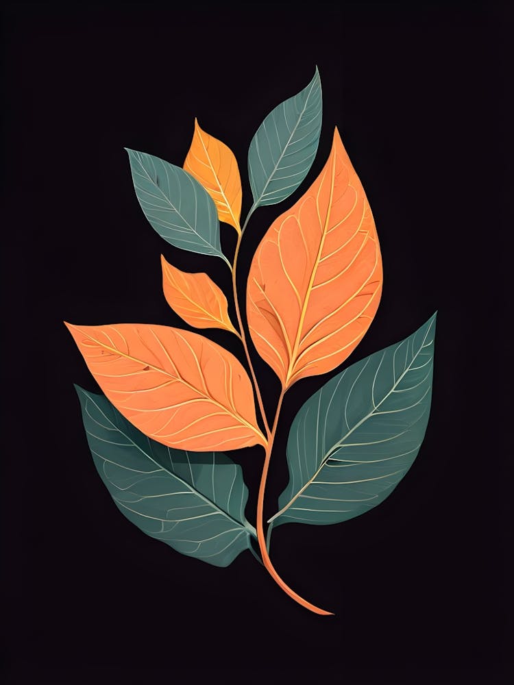 Abstract Leaves On Black Background