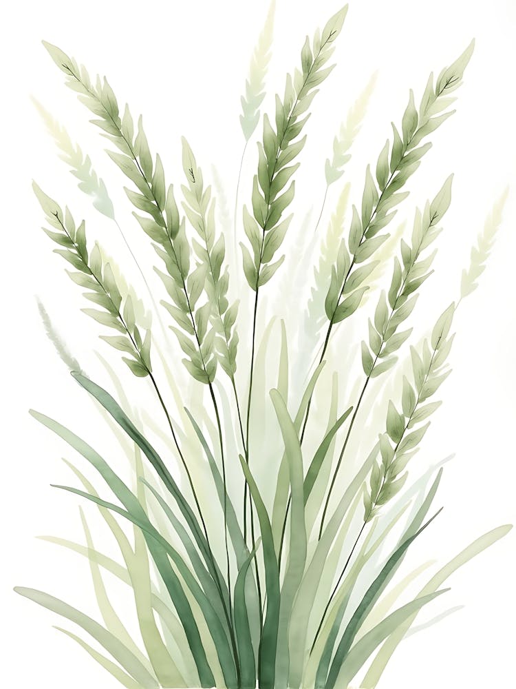 Abstract Sage Botanical Lines