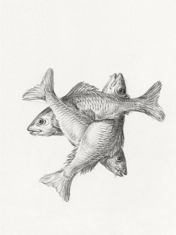 Three Fishes, Jean Bernard