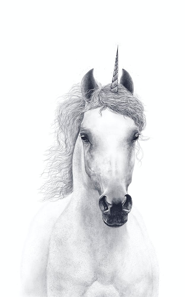 White Unicorn