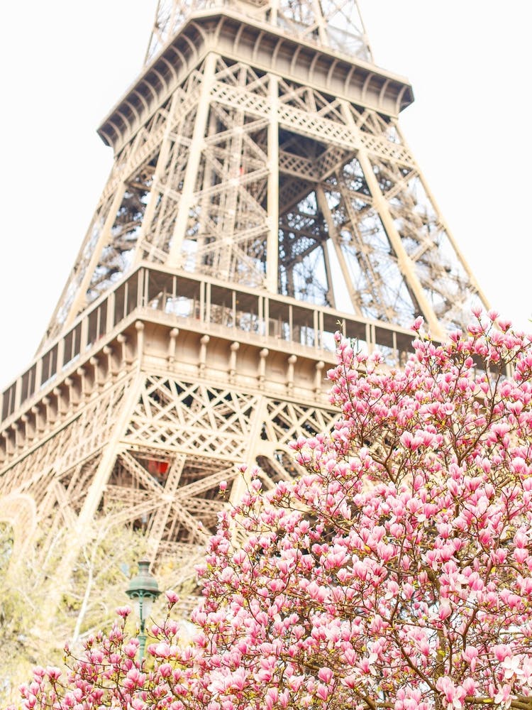 Eiffel Tower Spring