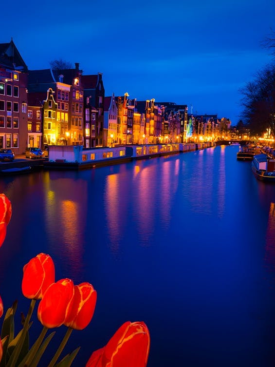 Amsterdam Night Canal Print with Red Tulips - Romantic European Cityscape