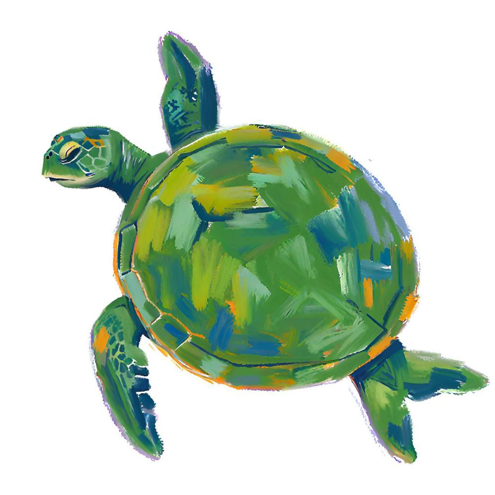 Green Sea Turtle 07