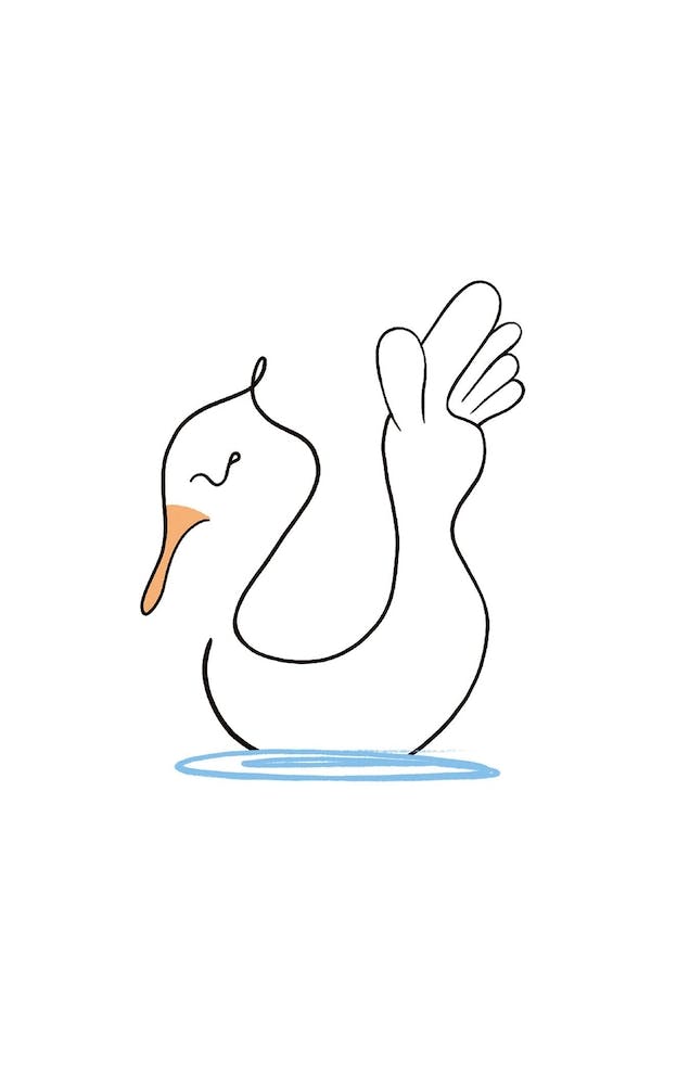 Scipit
