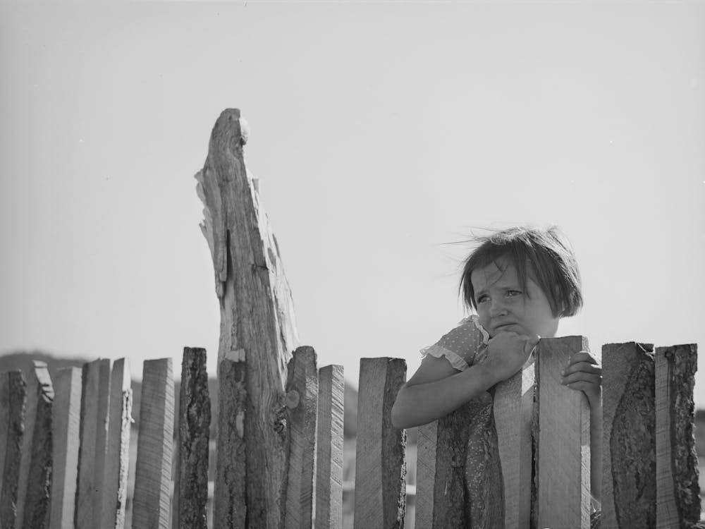 Josie Caudill Looking Over Slab Fence On Her Father S Farm, Pie Town, New Mexico By Russell Lee