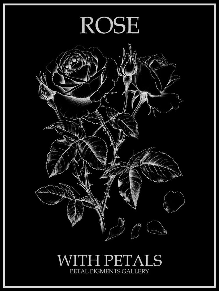 Rose mit Blütenblättern Strichzeichnung 3 Poster Invertiert