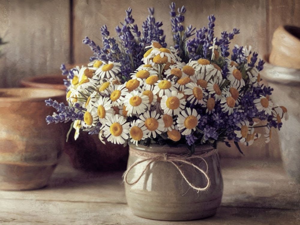 Rustic Daisies Still Life - Floral