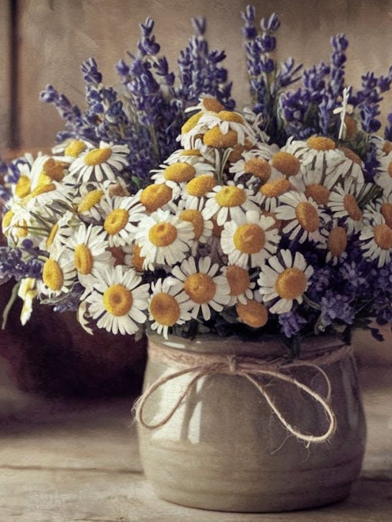 Rustic Daisies Still Life - Floral