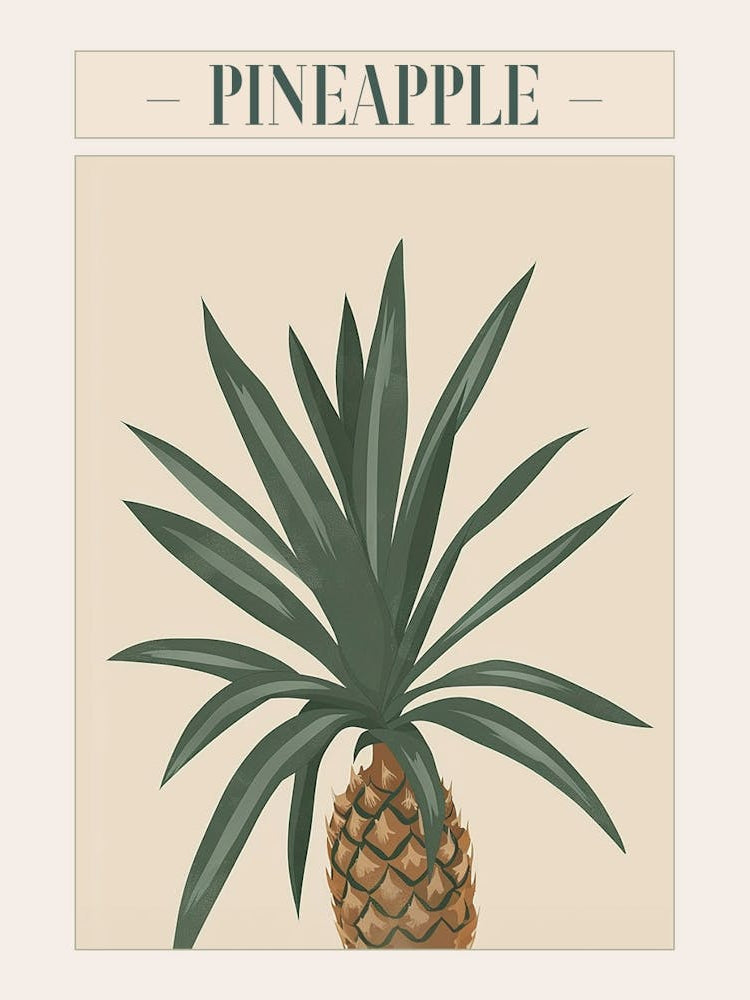 Pineapple Tree Minimal Japandi Illustration 3 Poster