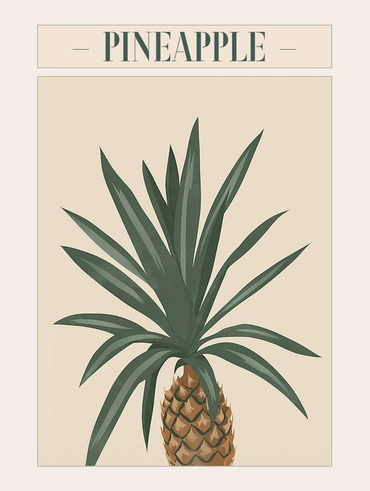 Pineapple Tree Minimal Japandi Illustration 3 Poster