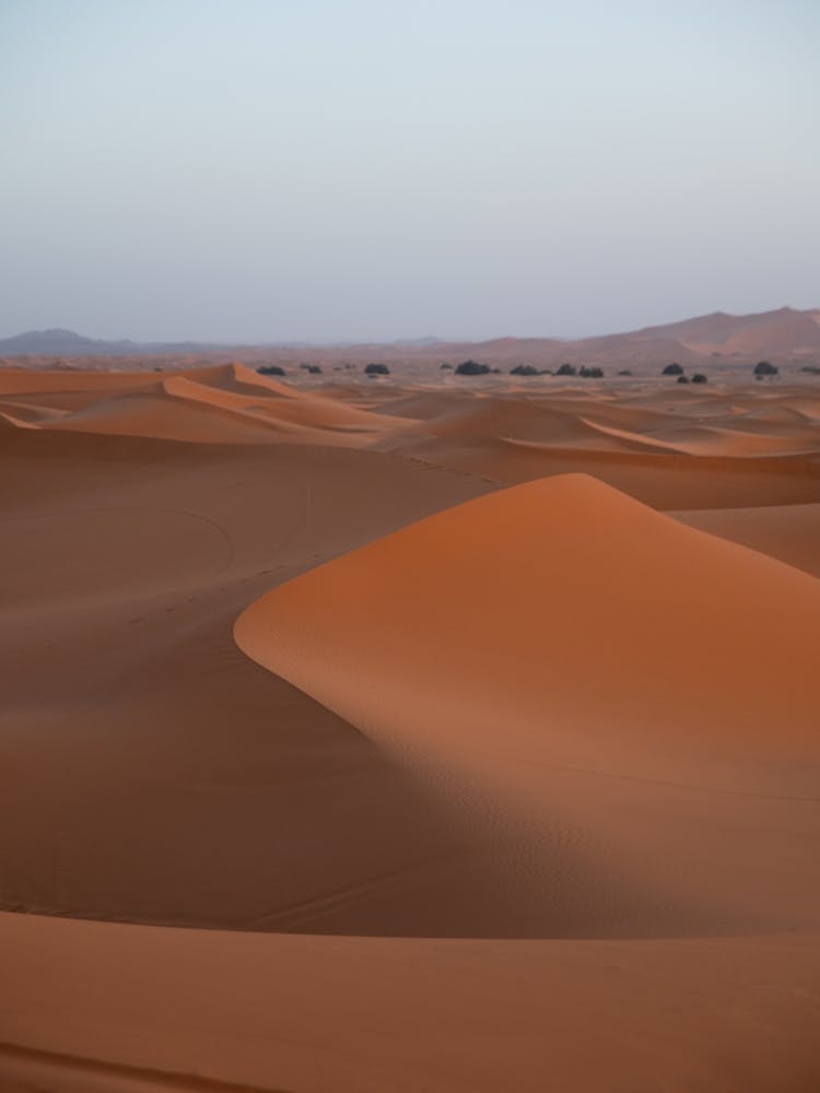 Sahara Morocco |Desert dunes with golden hour photography
