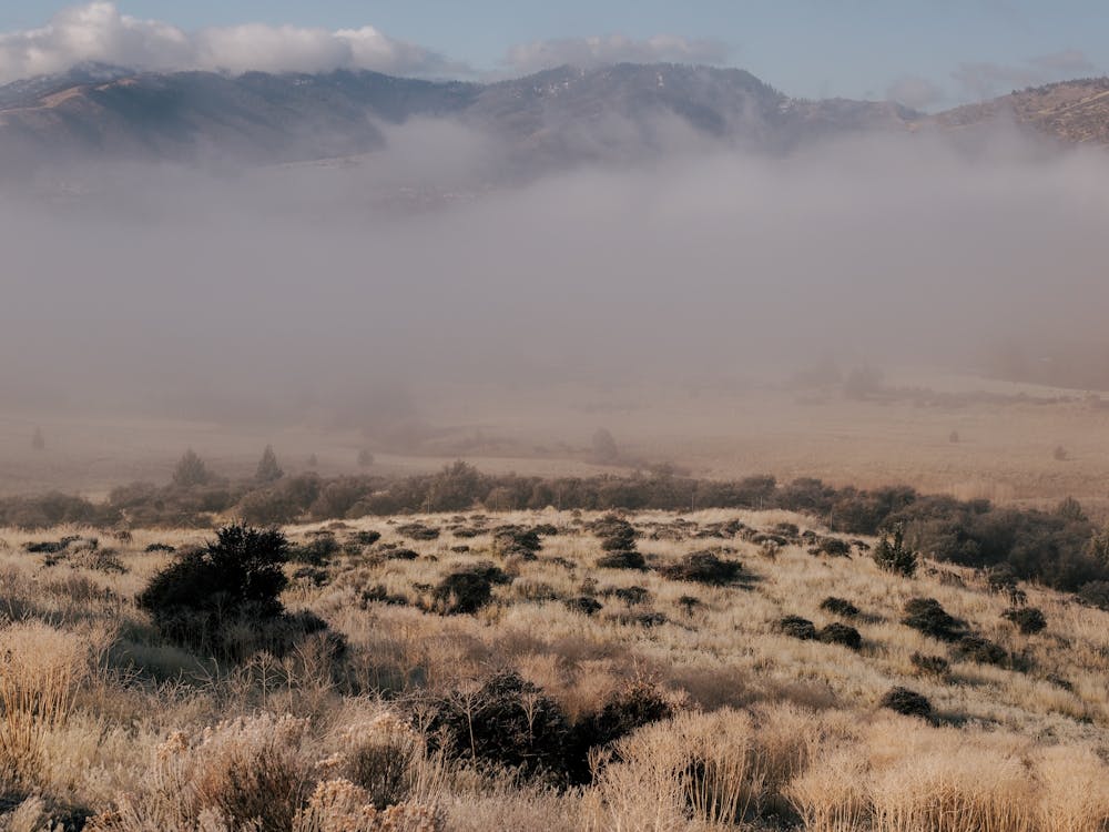 Early Morning in California