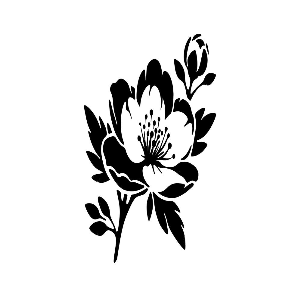 Schwarz-Weiß-Blume