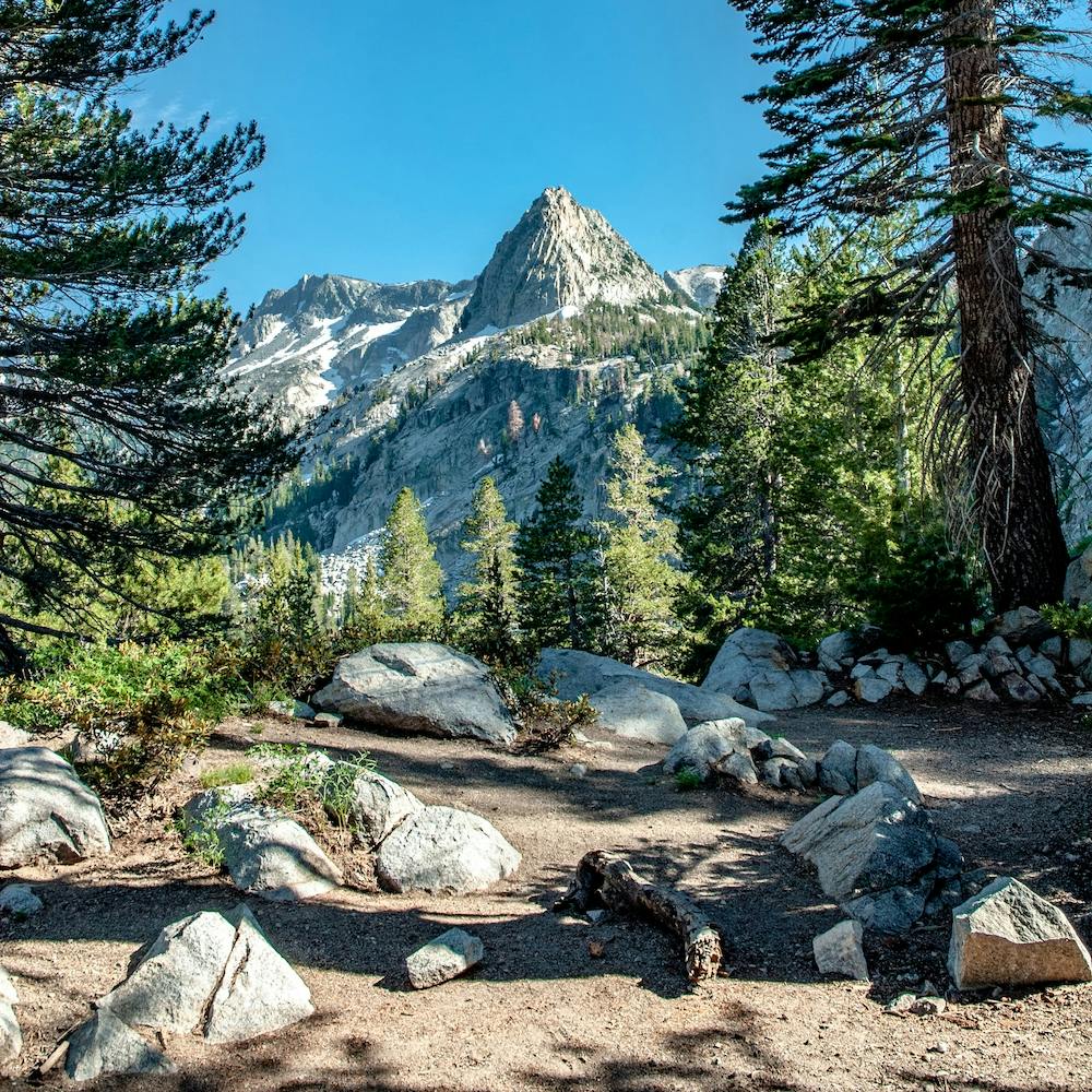 Crystal Crag Between Trees Square