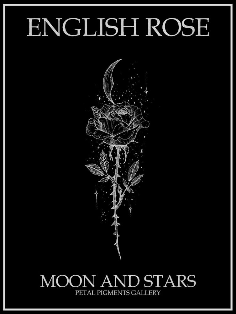Englische Rose Mond Und Sterne Strichzeichnung 4 Poster Invertiert