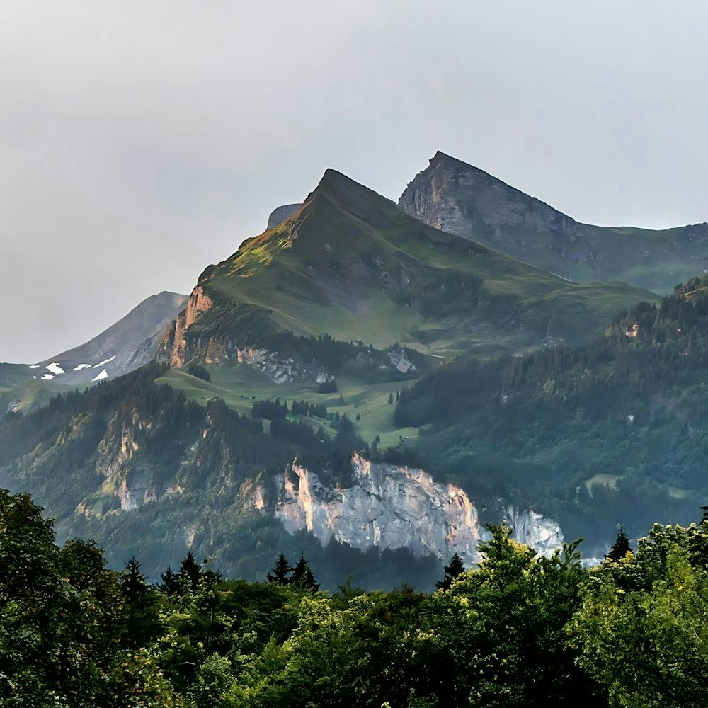 Alpes Suisses 1