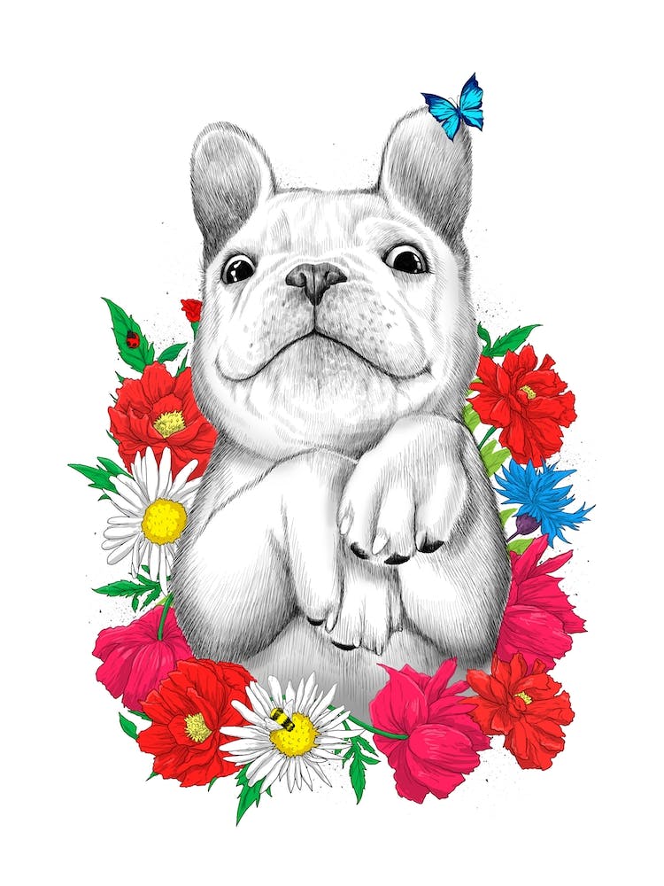 Dog In Flowers
