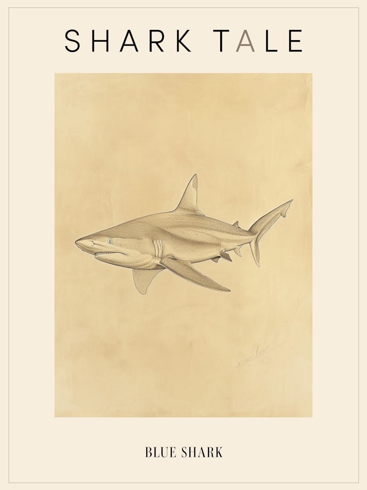 Blue Shark Vintage Illustration 3 Poster