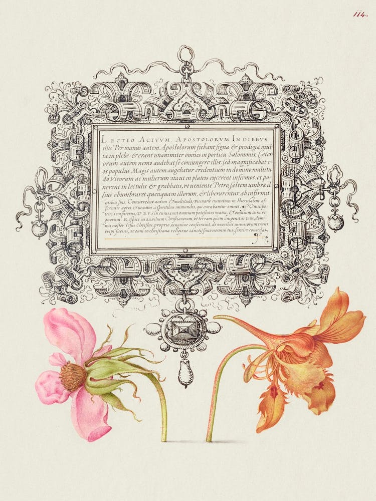 French Rose And Dwarf Nasturtium From Mira Calligraphiae Monumenta, Joris Hoefnagel