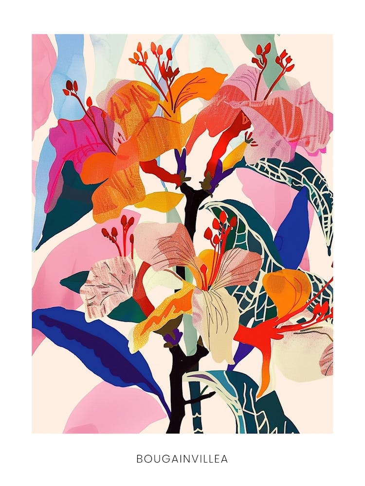 Colourful Flower Illustration Poster Bougainvillea 4