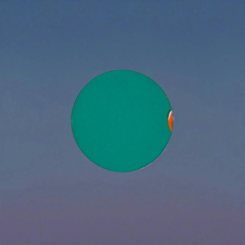 Make It A Vinyl Disc Change The Color To Orange An