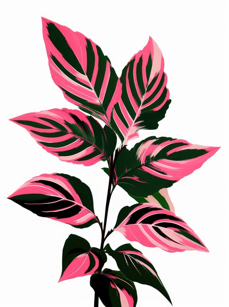 Pink Plant 1
