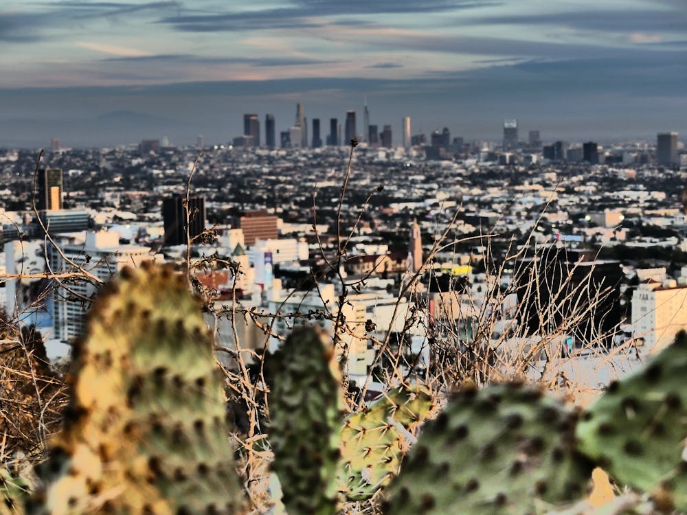 DTLA view