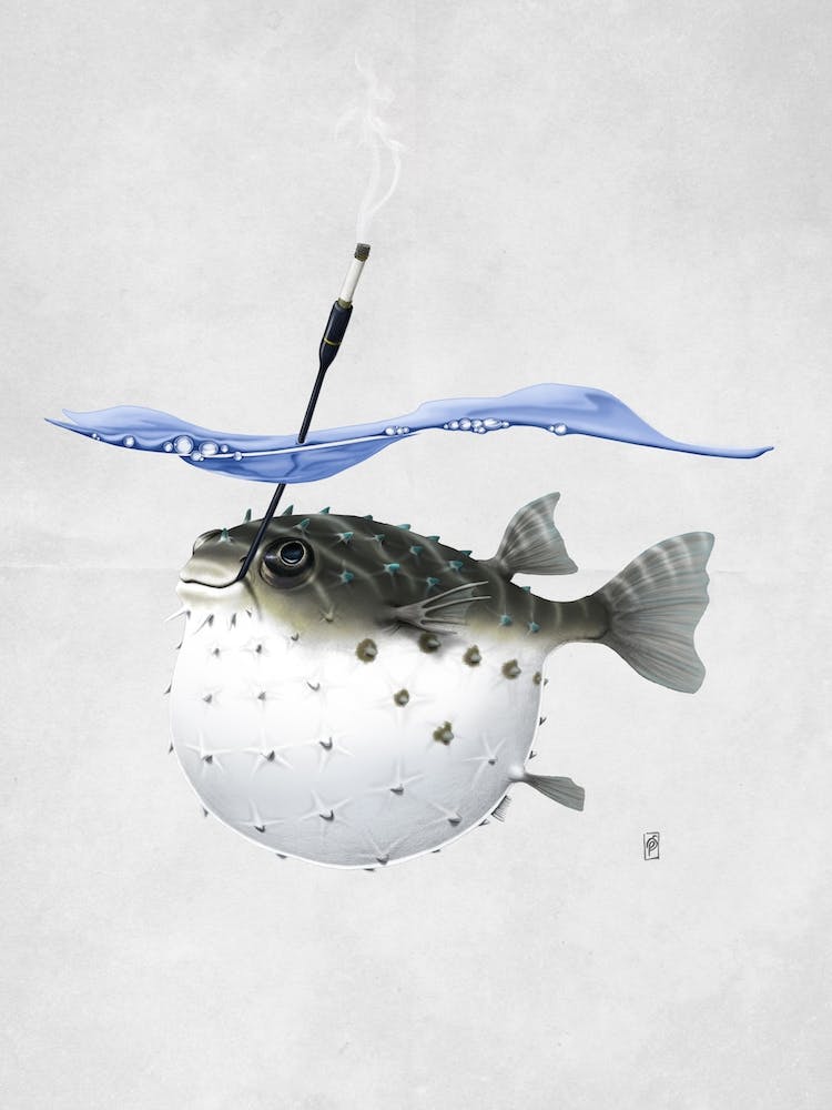 Take It Outside (Wordless)