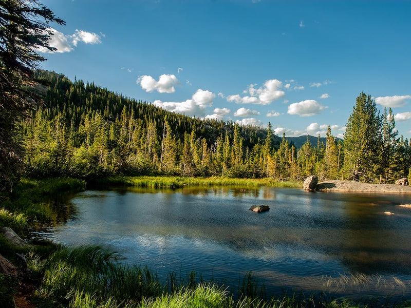 Alpine Lake